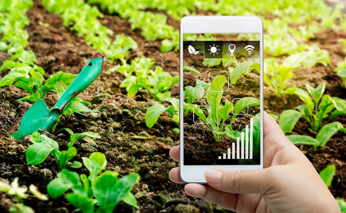 smart gardening app