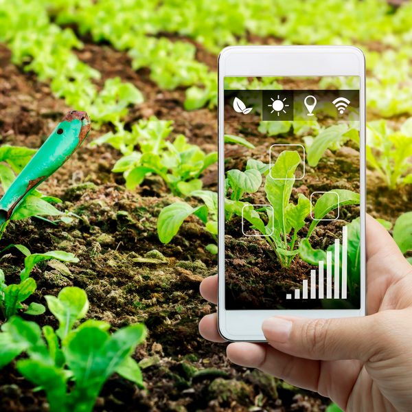 smart gardening app