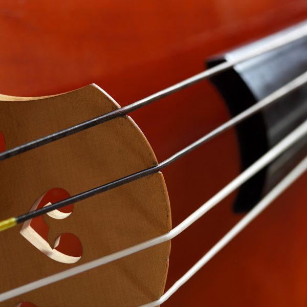 Close up of violin strings to represent Pasadena Symphony and POPS